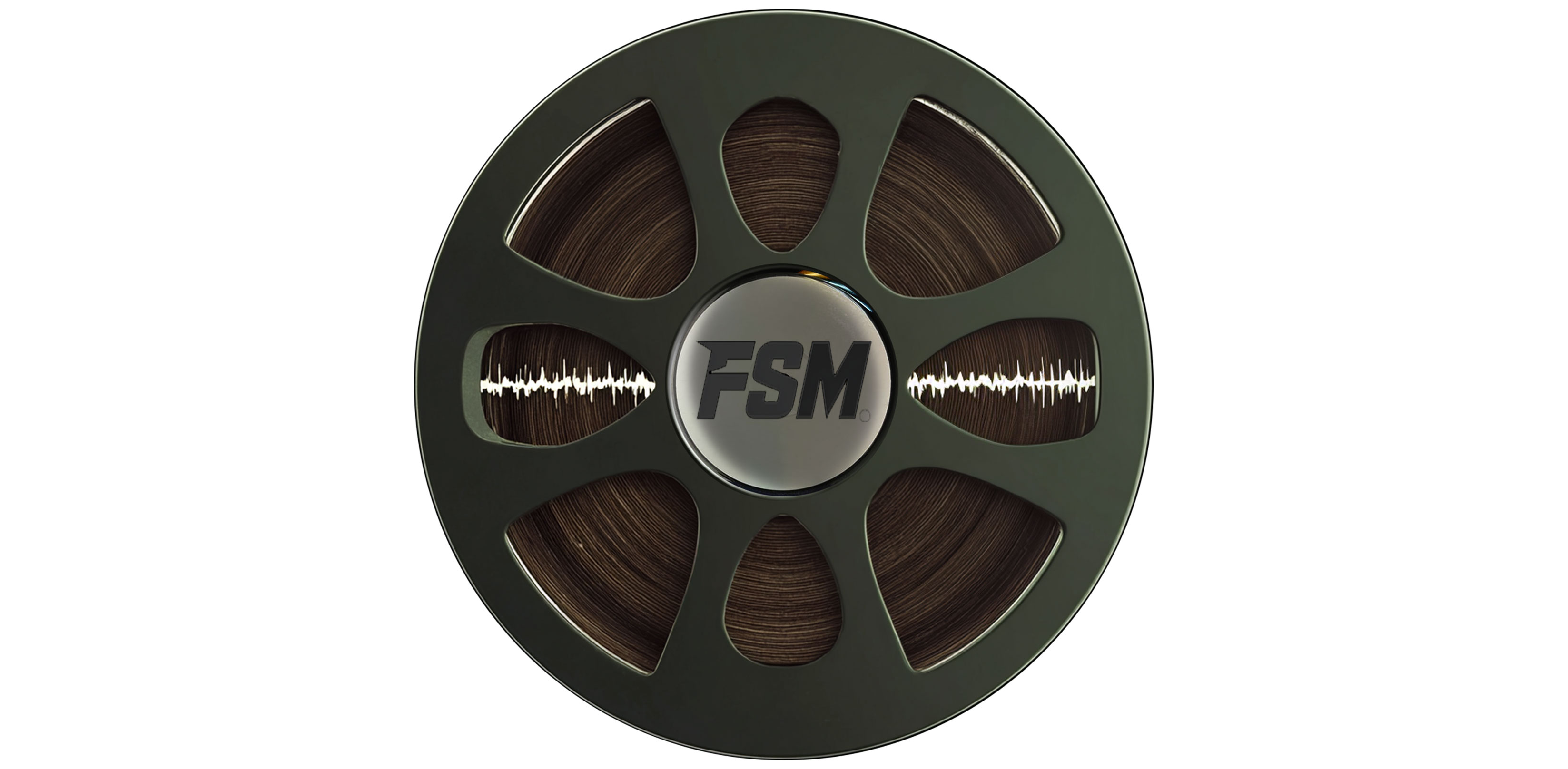 FSM logo